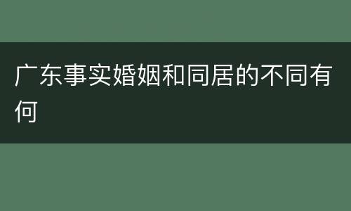 广东事实婚姻和同居的不同有何