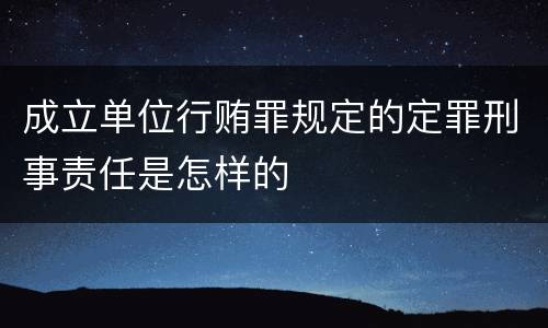 成立单位行贿罪规定的定罪刑事责任是怎样的