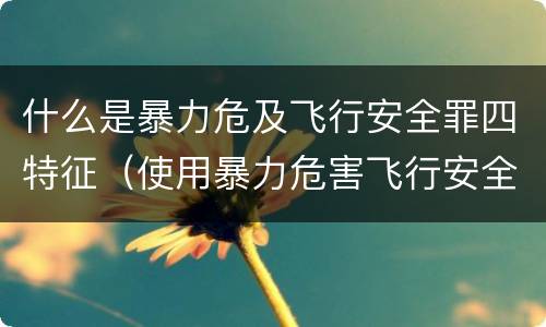 什么是暴力危及飞行安全罪四特征（使用暴力危害飞行安全罪）