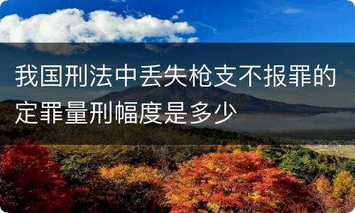 我国刑法中丢失枪支不报罪的定罪量刑幅度是多少