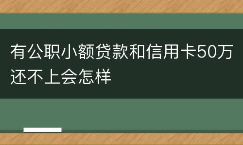 有公职小额贷款和信用卡50万还不上会怎样