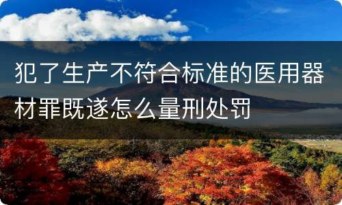 犯了生产不符合标准的医用器材罪既遂怎么量刑处罚