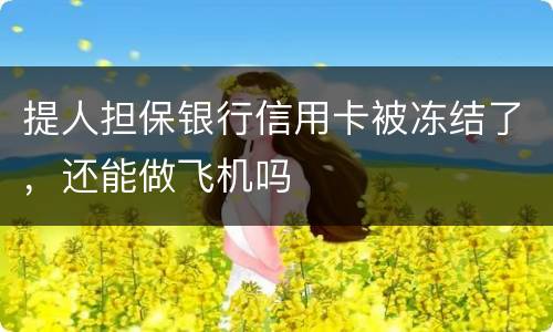 提人担保银行信用卡被冻结了，还能做飞机吗