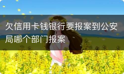 欠信用卡钱银行要报案到公安局哪个部门报案