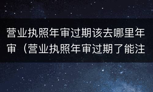 营业执照年审过期该去哪里年审（营业执照年审过期了能注销吗）