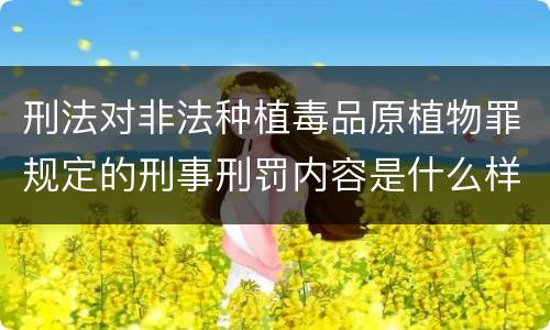 刑法对非法种植毒品原植物罪规定的刑事刑罚内容是什么样的