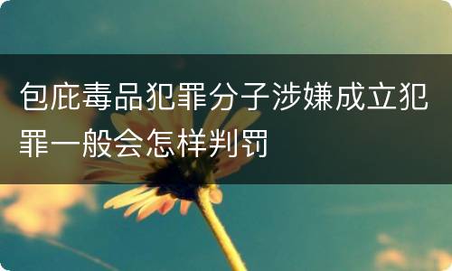 包庇毒品犯罪分子涉嫌成立犯罪一般会怎样判罚