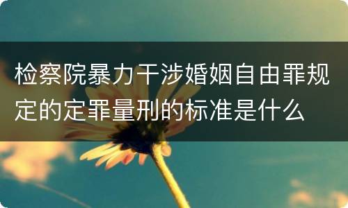 检察院暴力干涉婚姻自由罪规定的定罪量刑的标准是什么