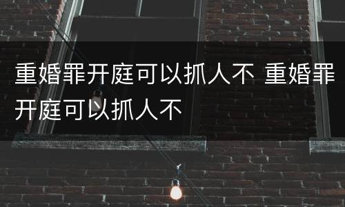 重婚罪开庭可以抓人不 重婚罪开庭可以抓人不