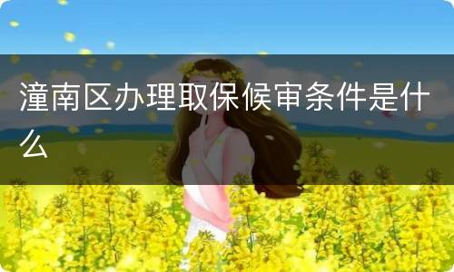 潼南区办理取保候审条件是什么