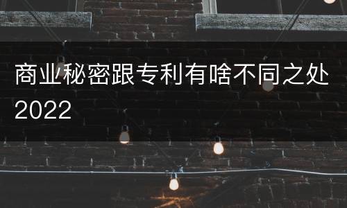 商业秘密跟专利有啥不同之处2022