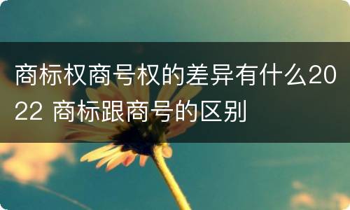 商标权商号权的差异有什么2022 商标跟商号的区别