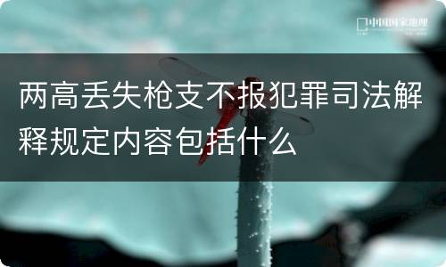 两高丢失枪支不报犯罪司法解释规定内容包括什么