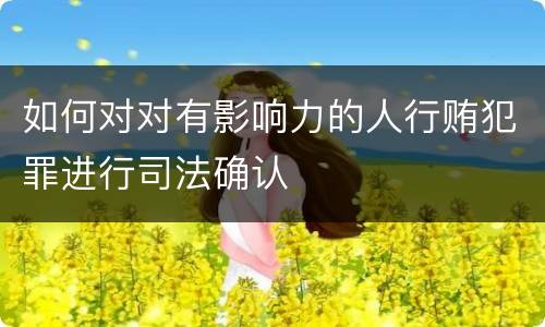 如何对对有影响力的人行贿犯罪进行司法确认