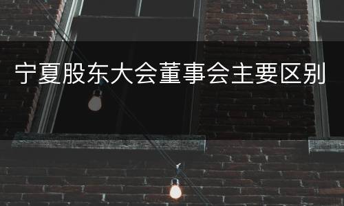 宁夏股东大会董事会主要区别