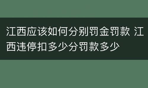 江西应该如何分别罚金罚款 江西违停扣多少分罚款多少