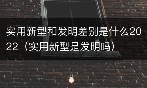 实用新型和发明差别是什么2022（实用新型是发明吗）