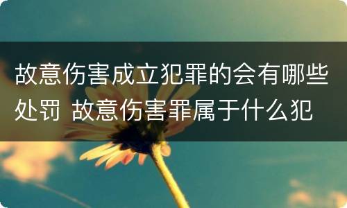 故意伤害成立犯罪的会有哪些处罚 故意伤害罪属于什么犯