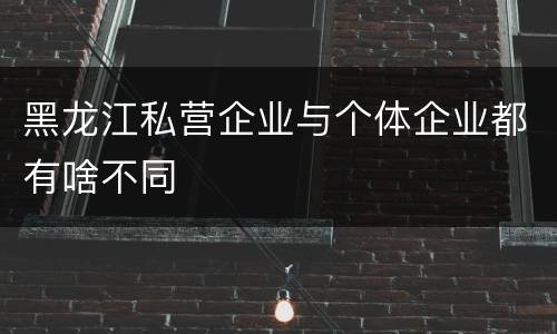 黑龙江私营企业与个体企业都有啥不同