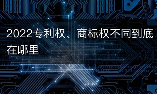 2022专利权、商标权不同到底在哪里