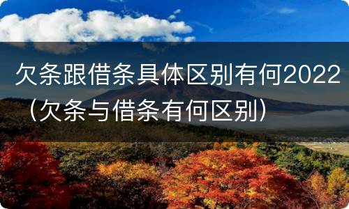 欠条跟借条具体区别有何2022（欠条与借条有何区别）