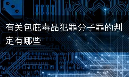 有关包庇毒品犯罪分子罪的判定有哪些