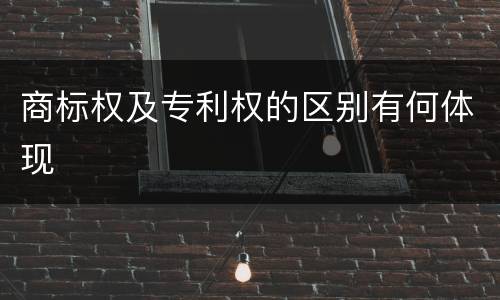 商标权及专利权的区别有何体现