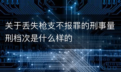 关于丢失枪支不报罪的刑事量刑档次是什么样的