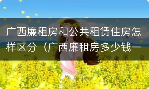 广西廉租房和公共租赁住房怎样区分（广西廉租房多少钱一个月）