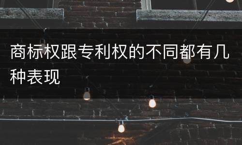 商标权跟专利权的不同都有几种表现