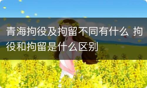 青海拘役及拘留不同有什么 拘役和拘留是什么区别