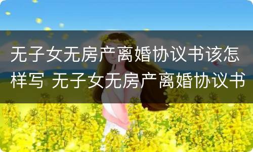 无子女无房产离婚协议书该怎样写 无子女无房产离婚协议书该怎样写好