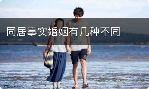 同居事实婚姻有几种不同