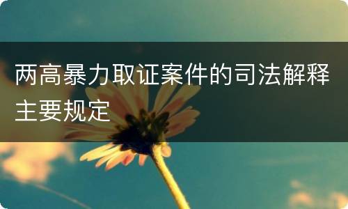 两高暴力取证案件的司法解释主要规定