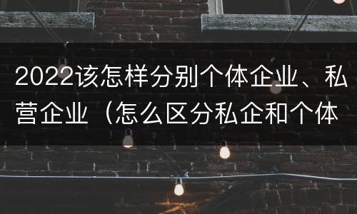 2022该怎样分别个体企业、私营企业（怎么区分私企和个体）