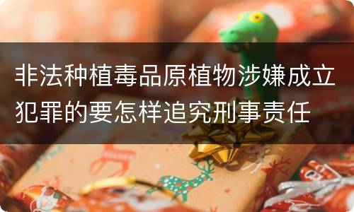 非法种植毒品原植物涉嫌成立犯罪的要怎样追究刑事责任