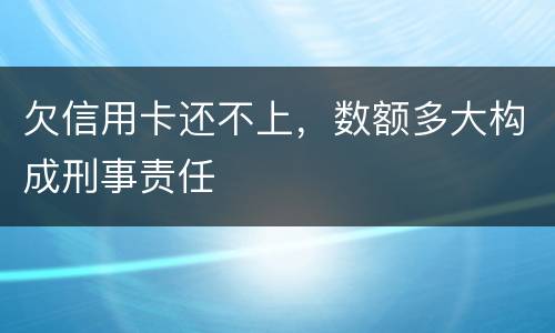 欠信用卡还不上，数额多大构成刑事责任