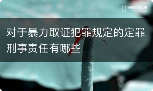 对于暴力取证犯罪规定的定罪刑事责任有哪些