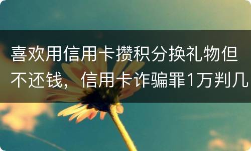 喜欢用信用卡攒积分换礼物但不还钱，信用卡诈骗罪1万判几年呢