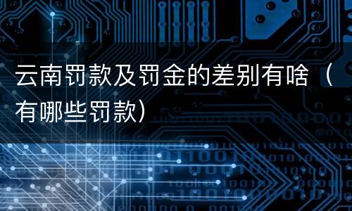 云南罚款及罚金的差别有啥（有哪些罚款）