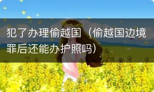 犯了办理偷越国（偷越国边境罪后还能办护照吗）