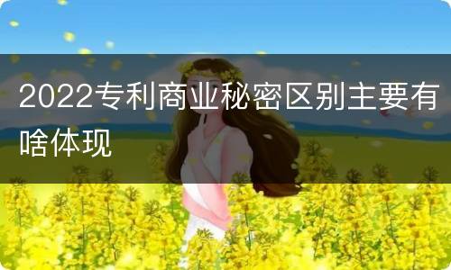 2022专利商业秘密区别主要有啥体现