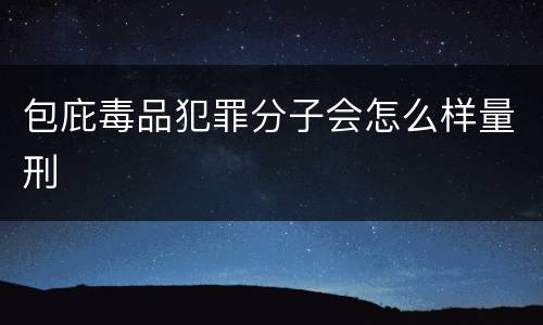 包庇毒品犯罪分子会怎么样量刑