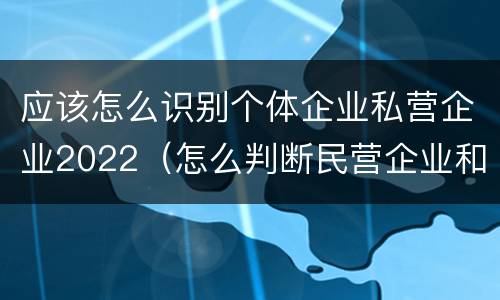 应该怎么识别个体企业私营企业2022（怎么判断民营企业和私营企业）