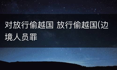 对放行偷越国 放行偷越国(边境人员罪