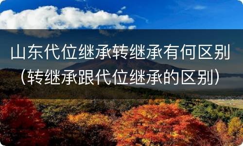 山东代位继承转继承有何区别（转继承跟代位继承的区别）