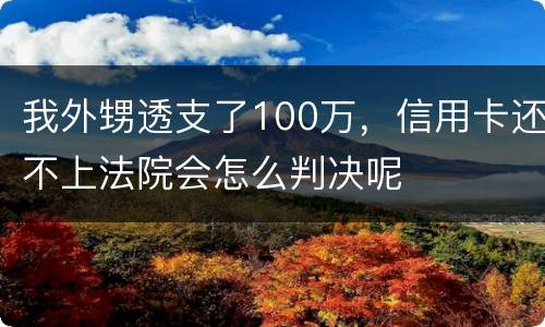我外甥透支了100万，信用卡还不上法院会怎么判决呢