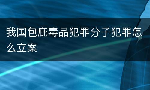 我国包庇毒品犯罪分子犯罪怎么立案