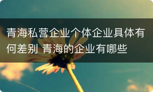 青海私营企业个体企业具体有何差别 青海的企业有哪些