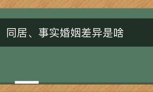 同居、事实婚姻差异是啥